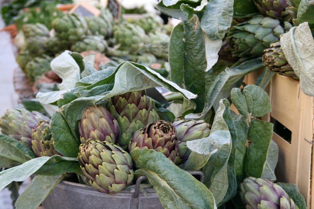 Temps De Cuisson Des Artichauts Poivrade