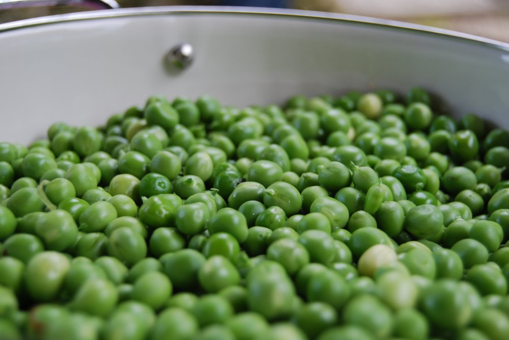 Cuisson des petits pois