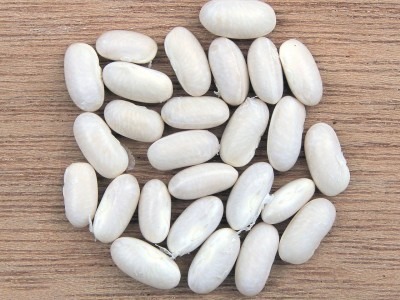 Haricots blancs secs