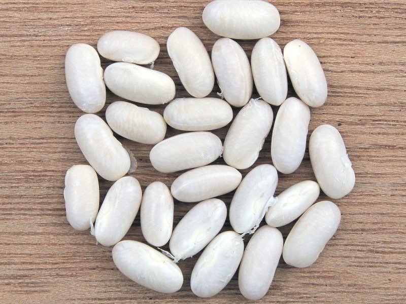 Haricots blancs secs