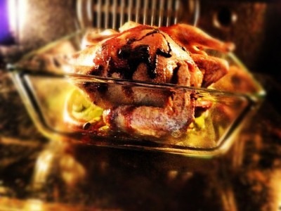 Pigeon