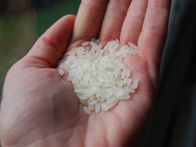 Temps de cuisson du riz