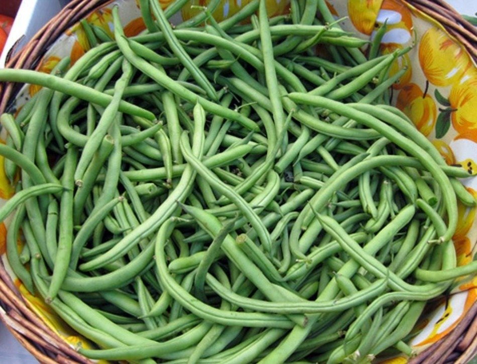 Temps de cuisson des haricots verts frais