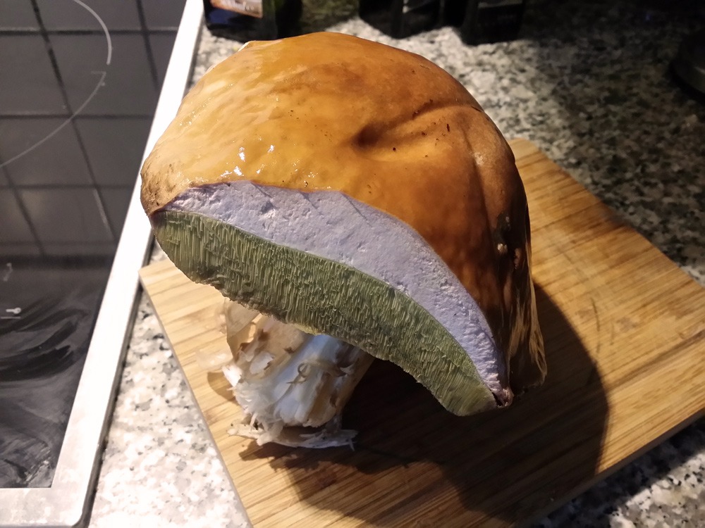 Temps de cuisson des cèpes