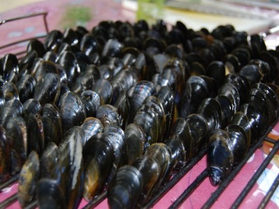 Moules