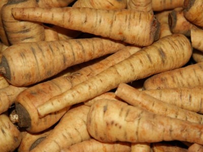 Panais