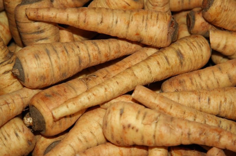 Panais