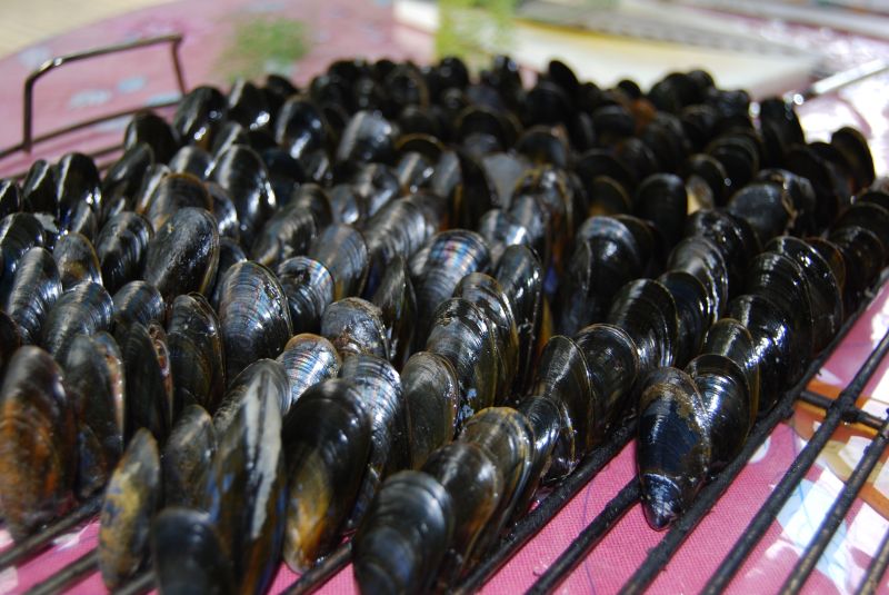 Préparation et cuisson des moules