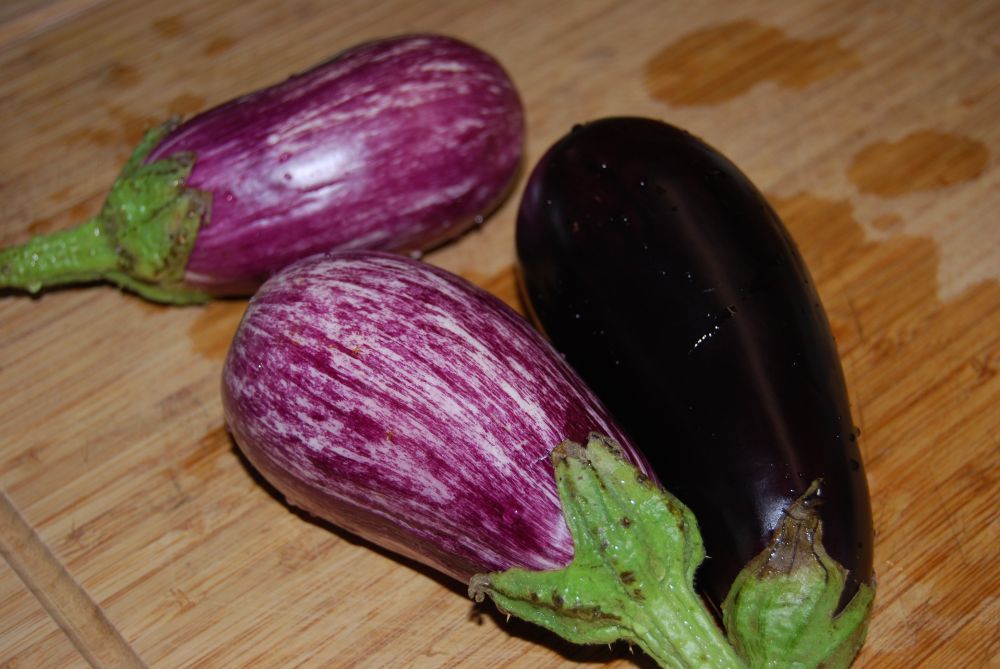 Temps de cuisson des aubergines