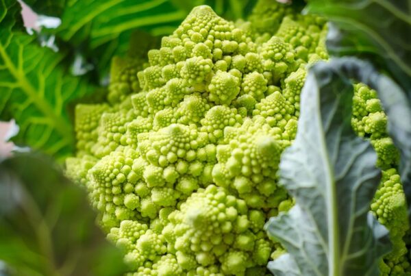 Temps de cuisson chou romanesco
