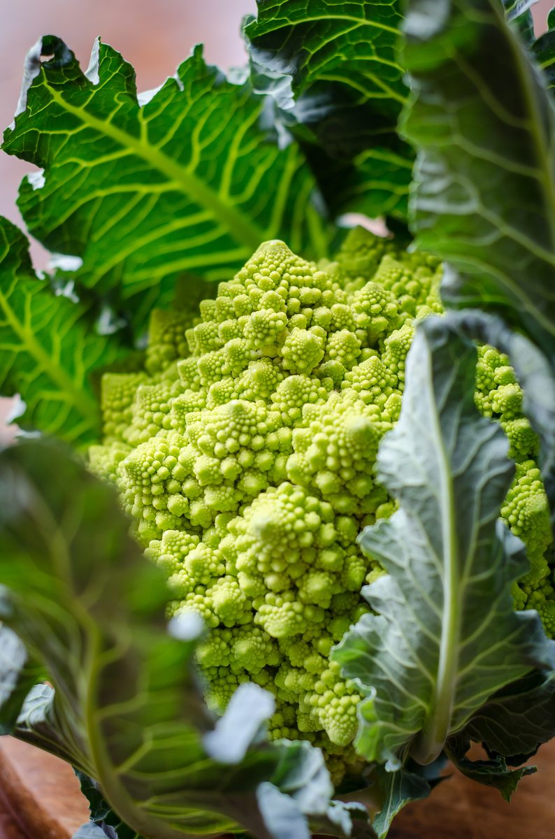 Temps de cuisson chou romanesco