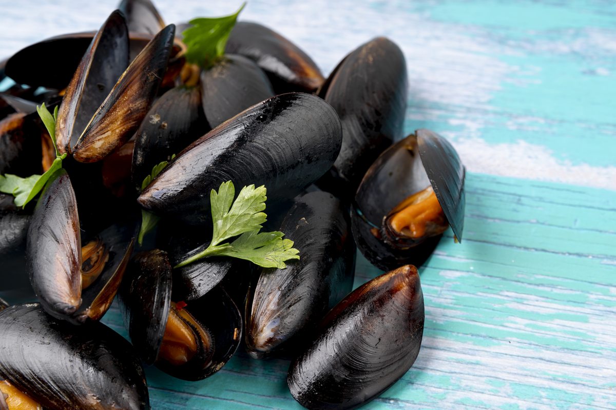 Temps de cuisson moules