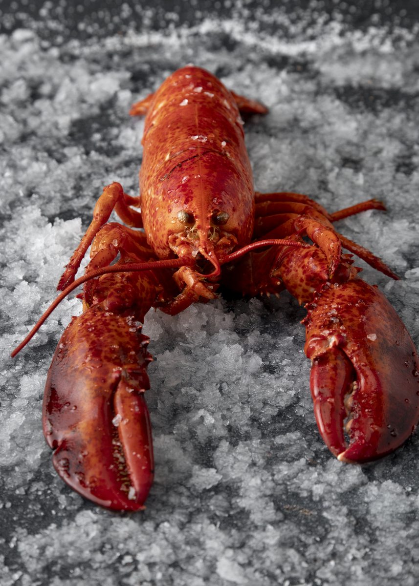 Préparation et cuisson homard