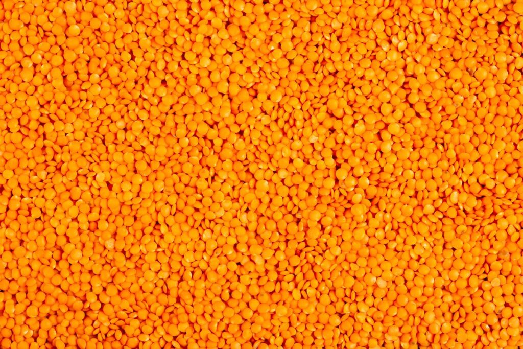Temps de cuisson lentilles corail