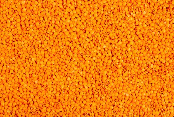Temps de cuisson lentilles corail