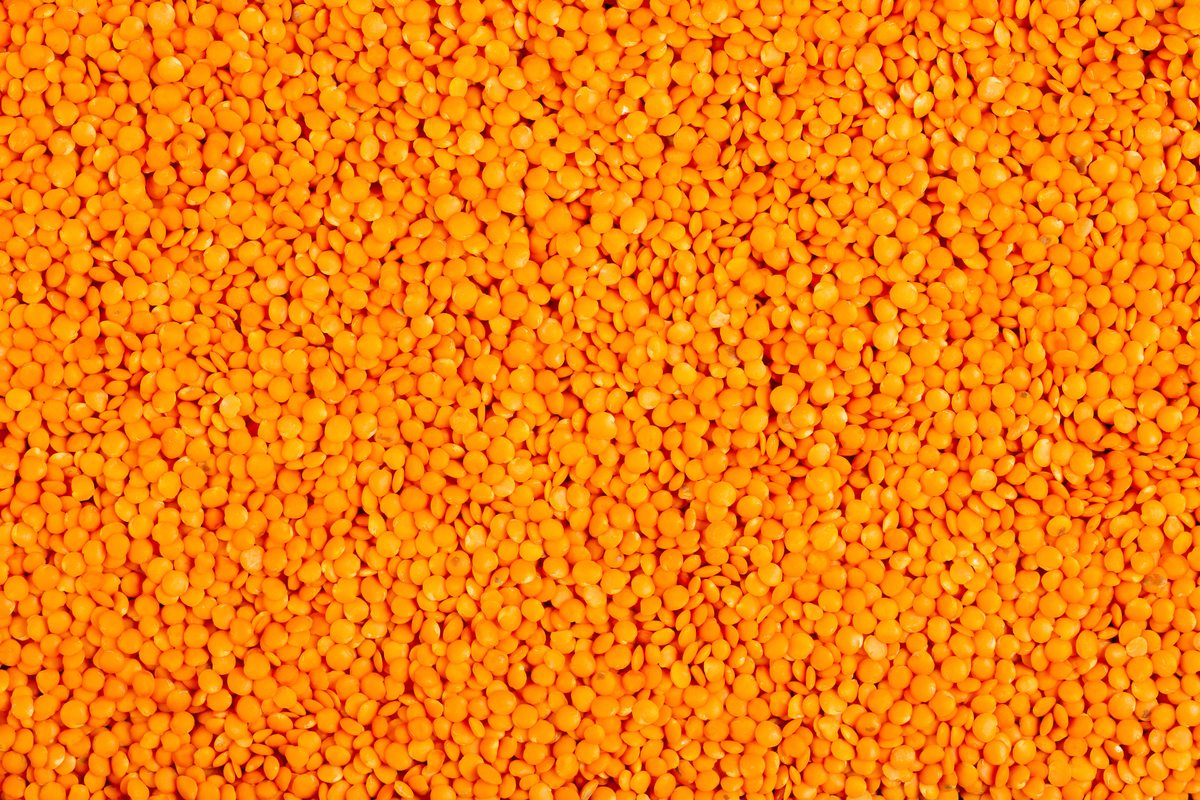 Temps de cuisson lentilles corail
