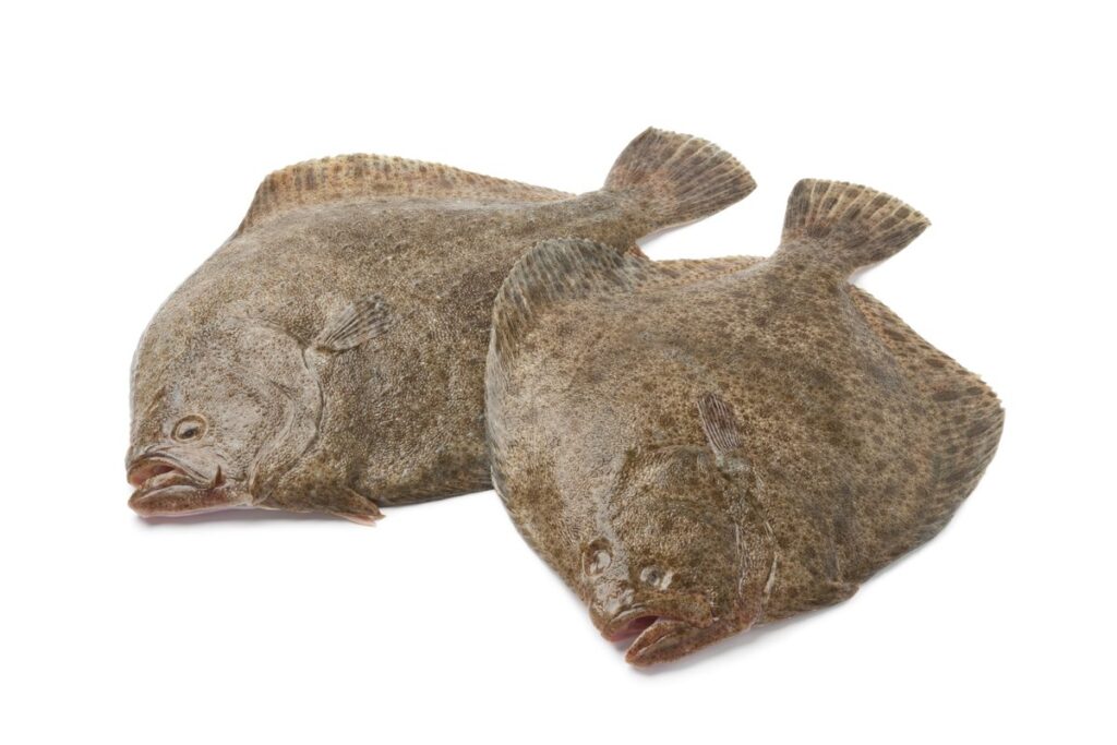 Temps de cuisson turbot